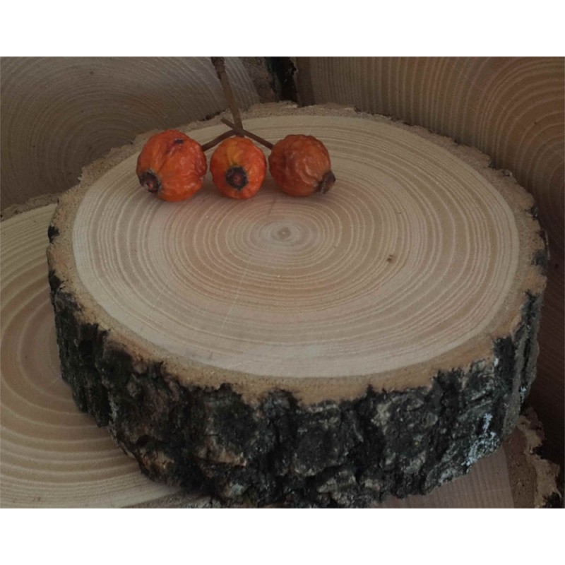 Madera de tronco cortada 24 Cm. Madera de tronco cortada 24 Cm.