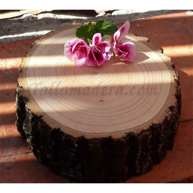 Madera de tronco cortada 20 Cm. Madera de tronco cortada 20 Cm.