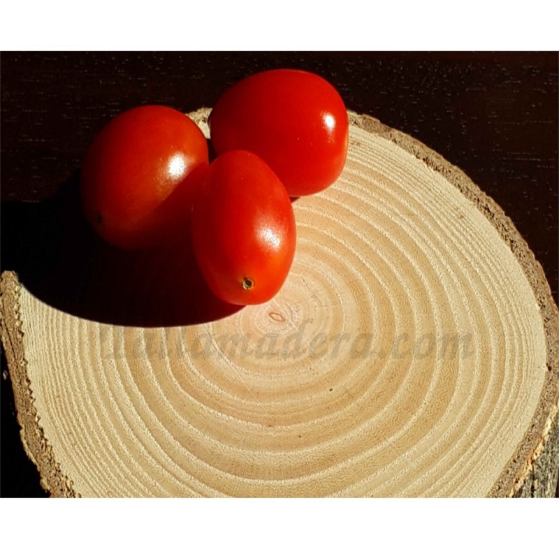 Madera de tronco cortada 16 Cm. Madera de tronco cortada 16 Cm.